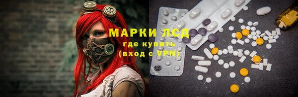 сатива Заволжье
