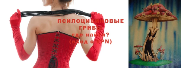 альфа пвп Заволжск