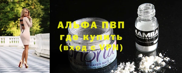 сатива Заволжье