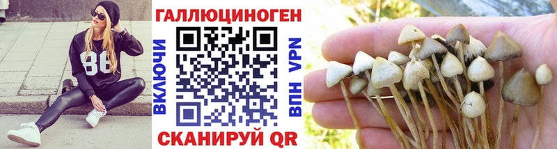 Купить где  Калтан  Галлюциногенные грибы Magic Shrooms 